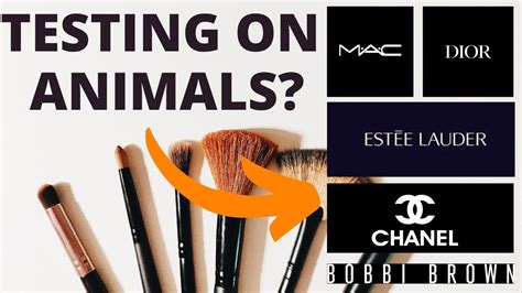 do dior test on animals